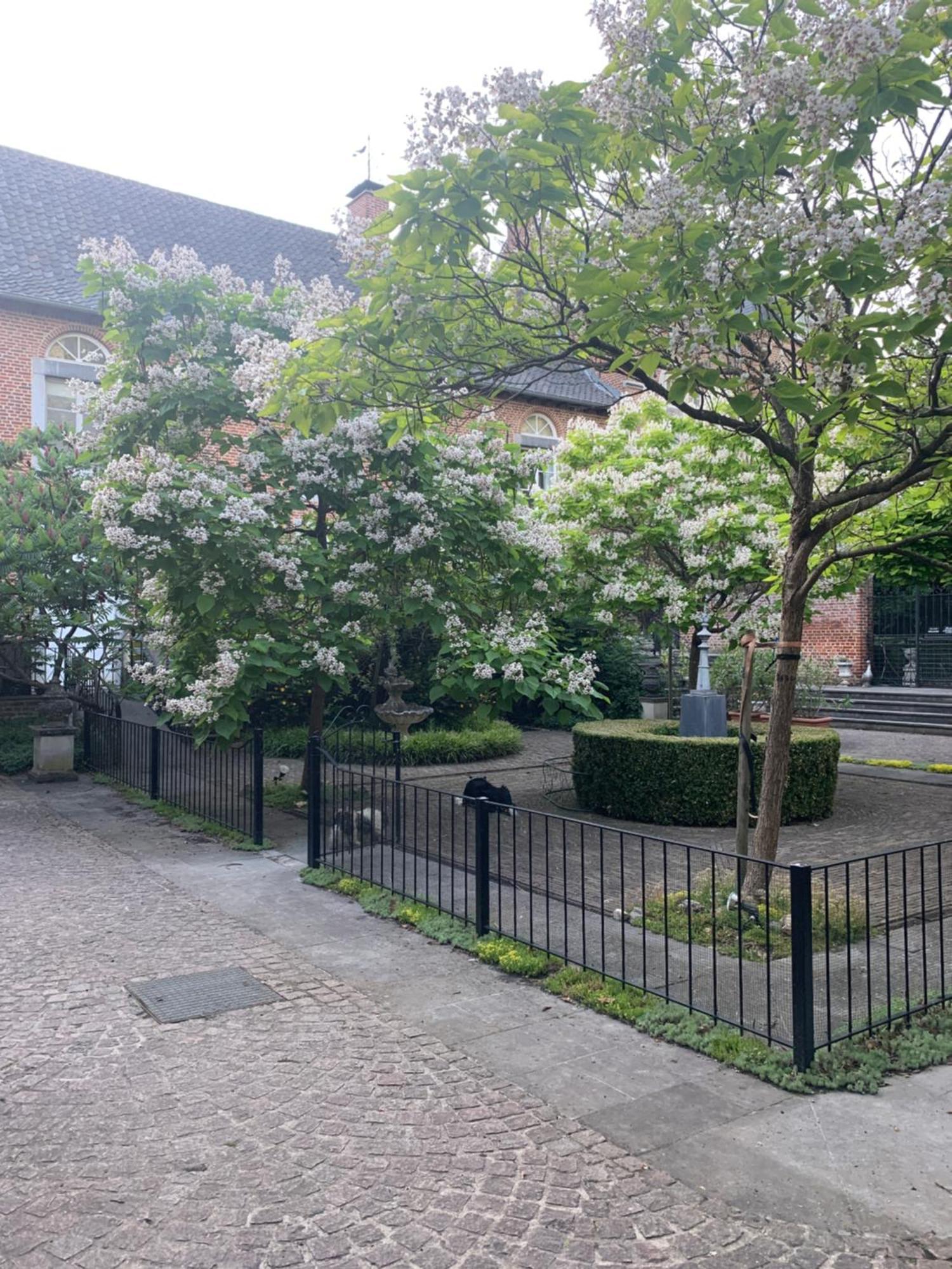 Vakantie Huizen De Heerlijkheid Satenbergh Villa Heers Exterior photo
